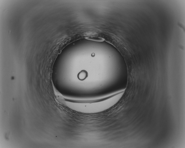 X0000103451441200809191736