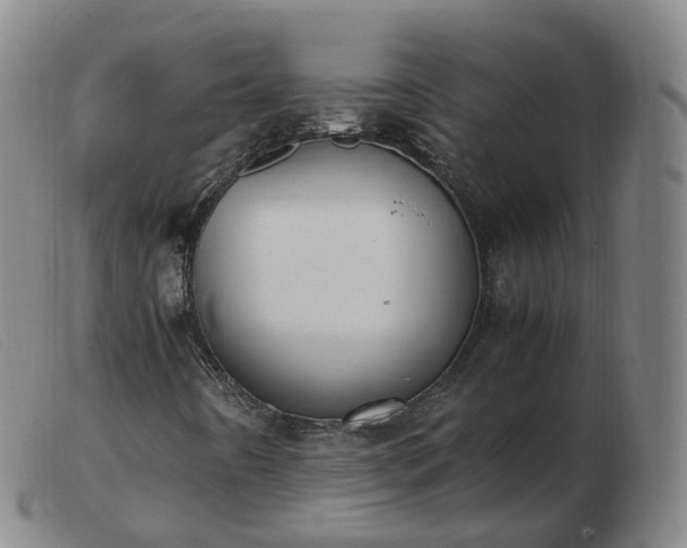 X0000103451442200809191736