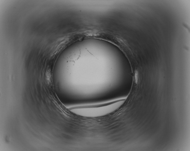 X0000103451444200809191736
