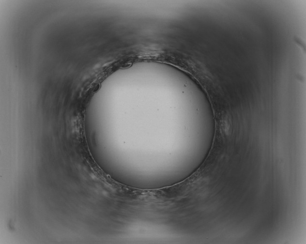 X0000103451445200809191736