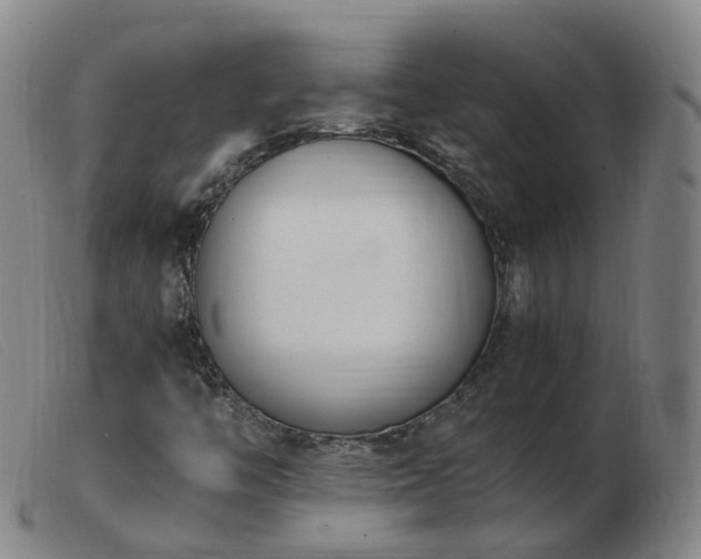X0000103451446200809191736