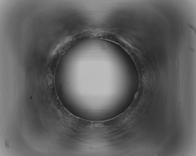 X0000103451447200809191736