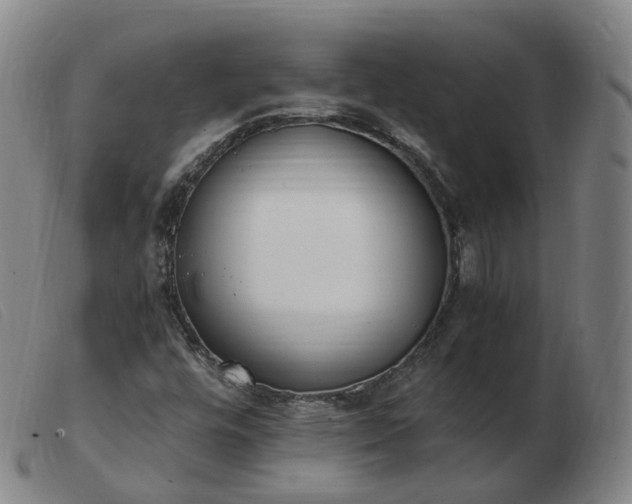 X0000103451448200809191736