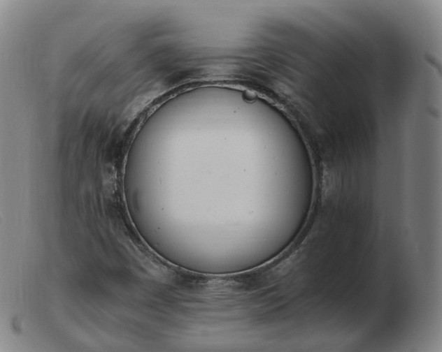 X0000103451449200809191736