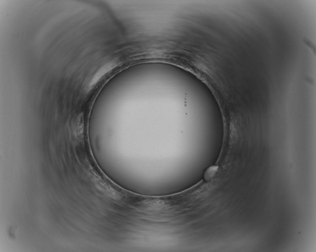 X0000103451450200809191736