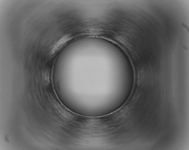 X0000103451451200809191736