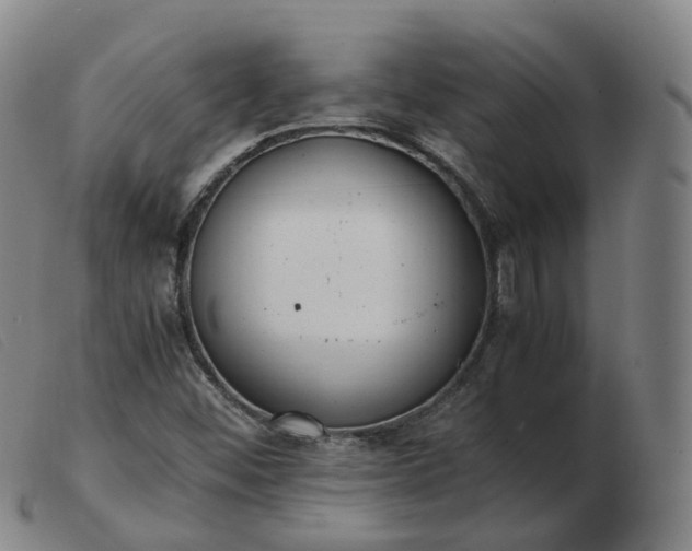 X0000103451452200809191736