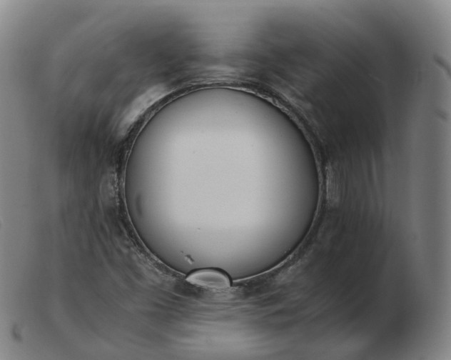 X0000103451453200809191736