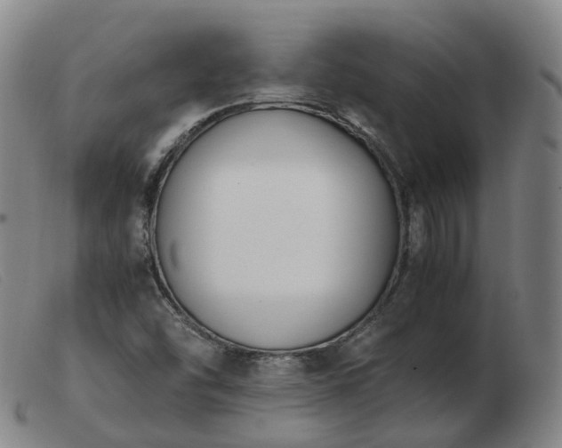 X0000103451454200809191736