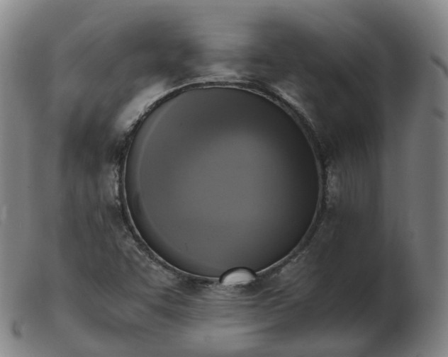 X0000103451455200809191736