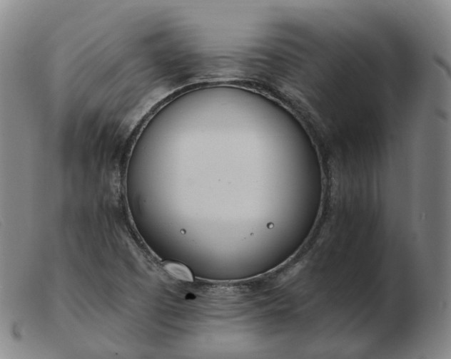 X0000103451457200809191736