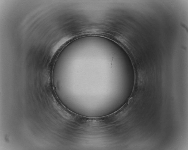 X0000103451458200809191736