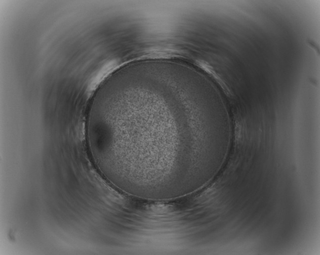 X0000103451459200809191736