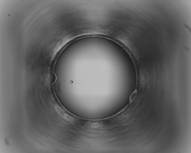 X0000103451460200809191736