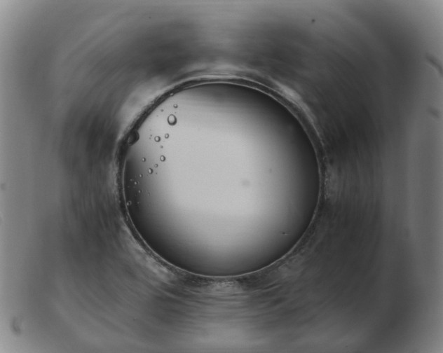 X0000103451464200809191736