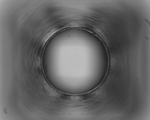X0000103451465200809191736