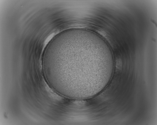 X0000103451466200809191736