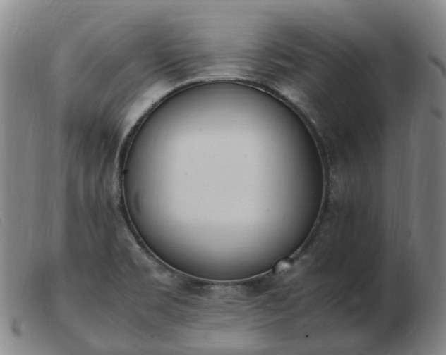 X0000103451469200809191736