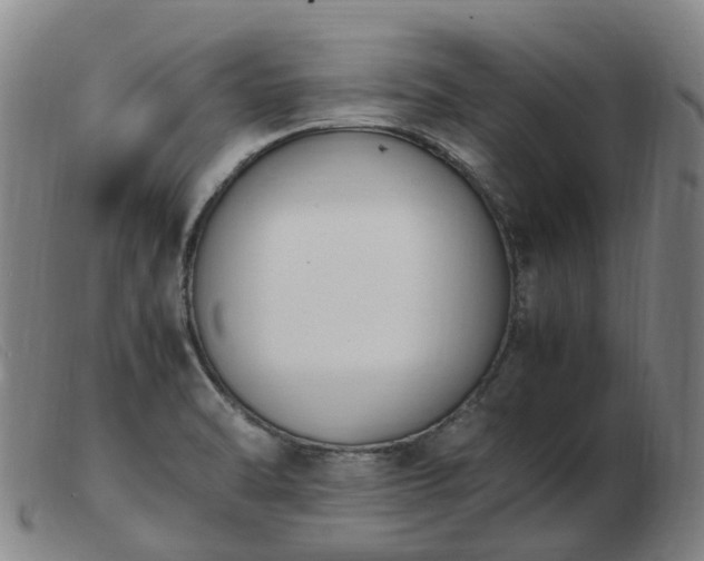 X0000103451470200809191736
