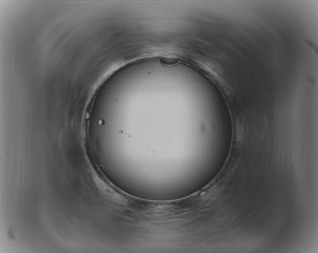 X0000103451471200809191736