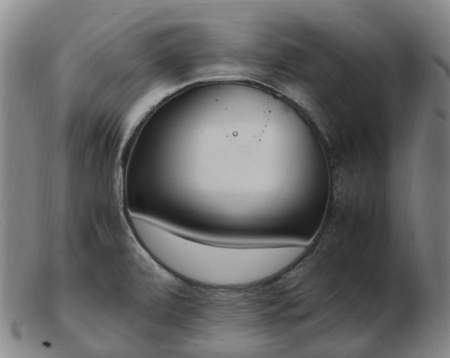 X0000103451472200809191736