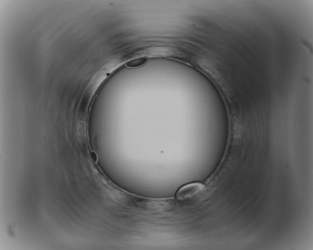 X0000103451473200809191736