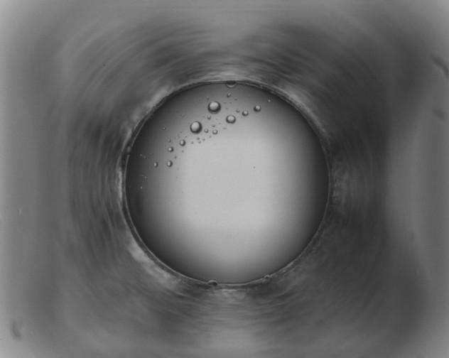 X0000103451476200809191736