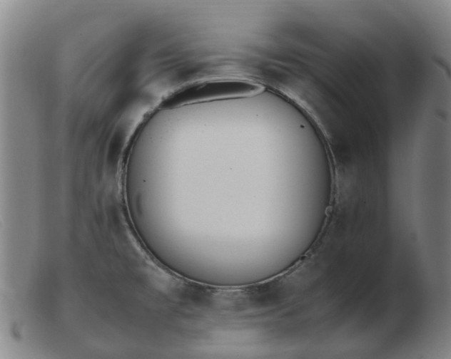 X0000103451477200809191736
