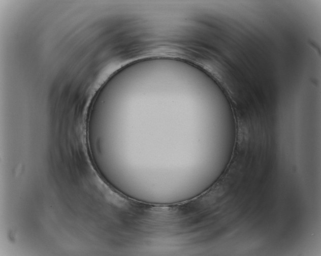 X0000103451478200809191736