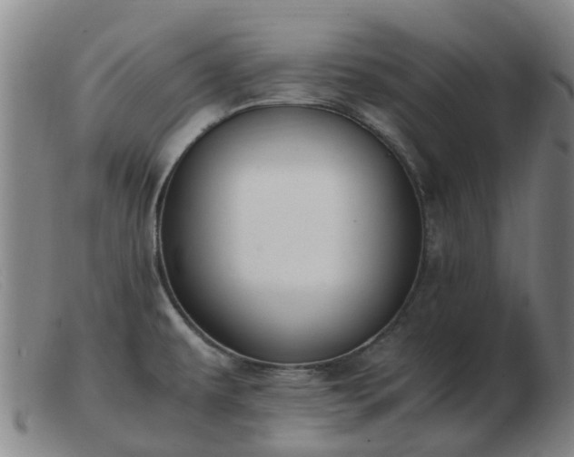 X0000103451479200809191736