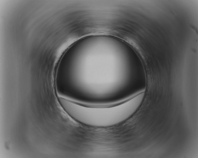 X0000103451480200809191736