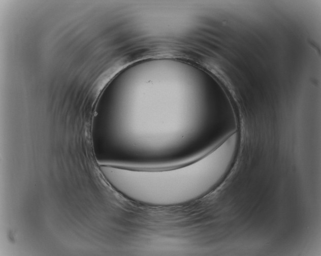 X0000103451481200809191736