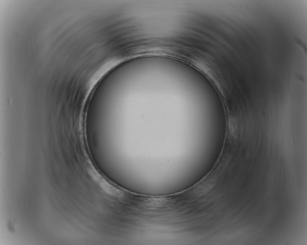X0000103451482200809191736