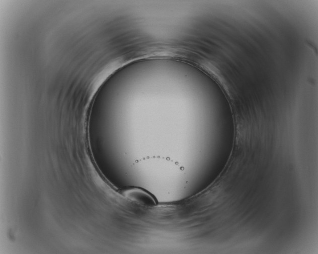 X0000103451483200809191736