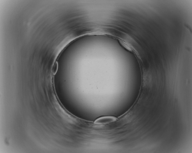X0000103451484200809191736