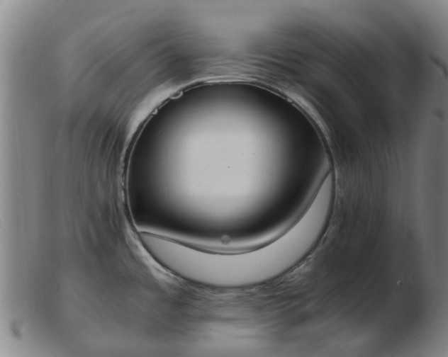 X0000103451485200809191736