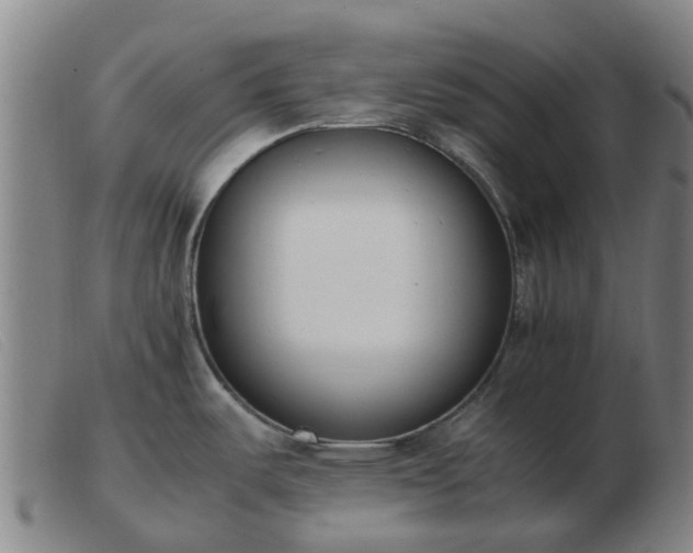 X0000103451487200809191736