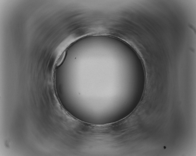 X0000103451488200809191736