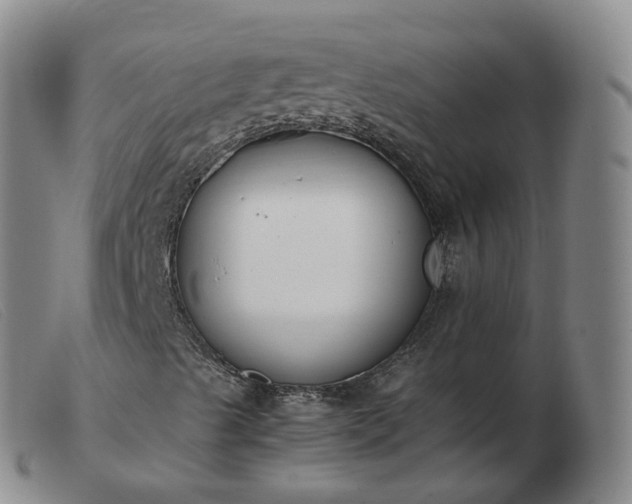 X0000103451489200809191735