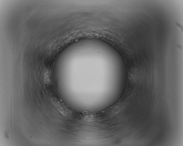 X0000103451490200809191735