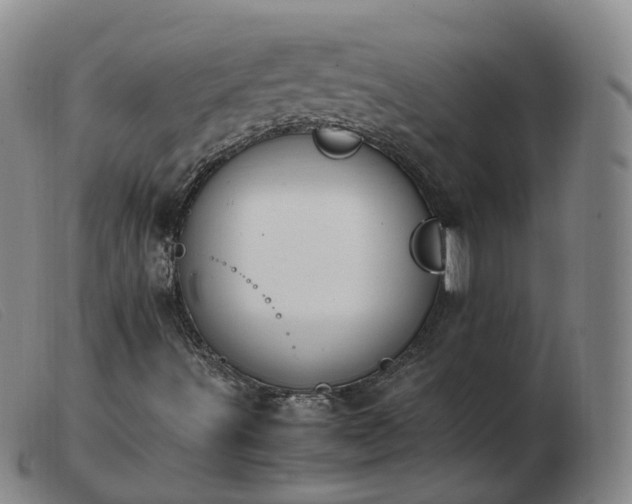 X0000103451491200809191735