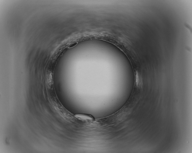X0000103451492200809191735