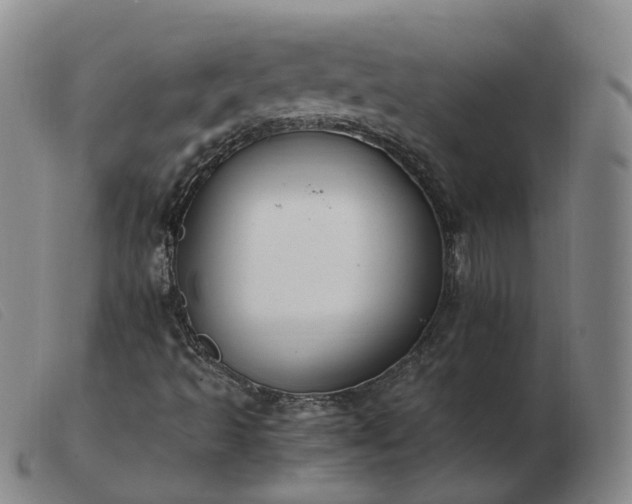 X0000103451493200809191735
