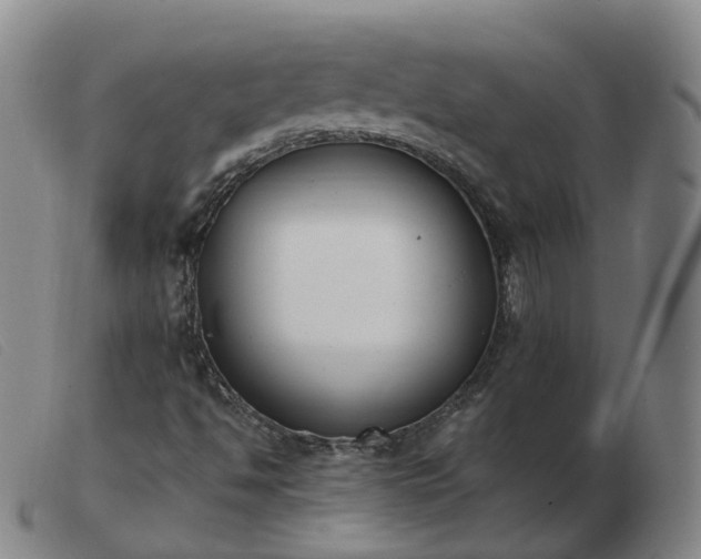X0000103451494200809191735