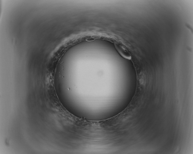 X0000103451495200809191735