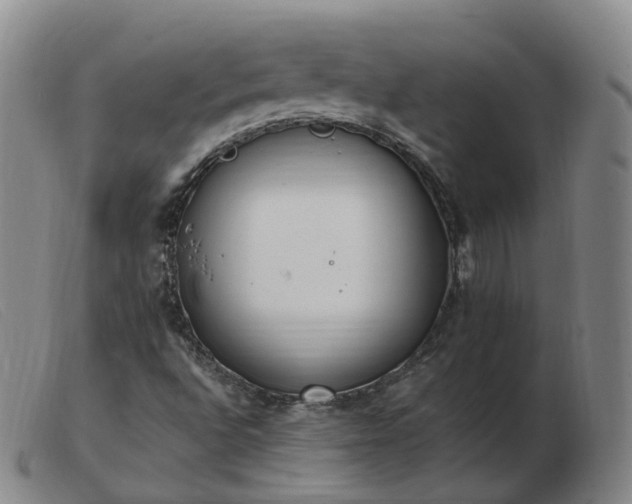 X0000103451496200809191735