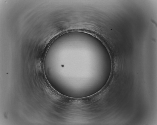 X0000103451497200809191735