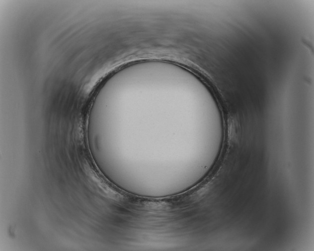 X0000103451498200809191735