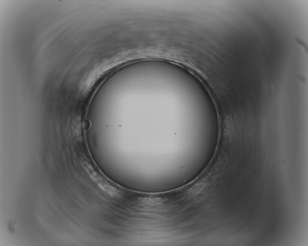 X0000103451499200809191735