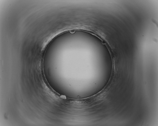 X0000103451500200809191735